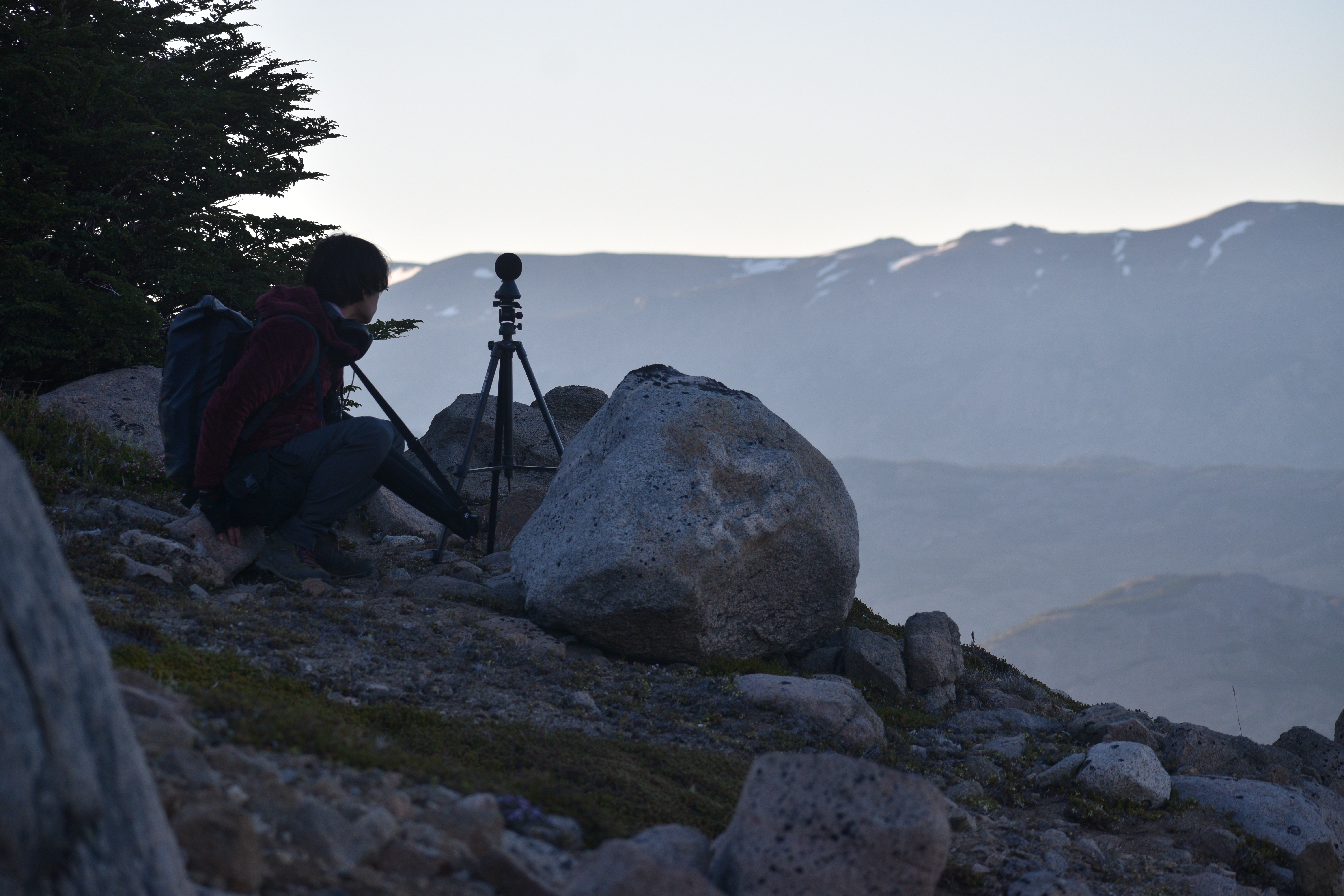 Registro Cerro Castillo