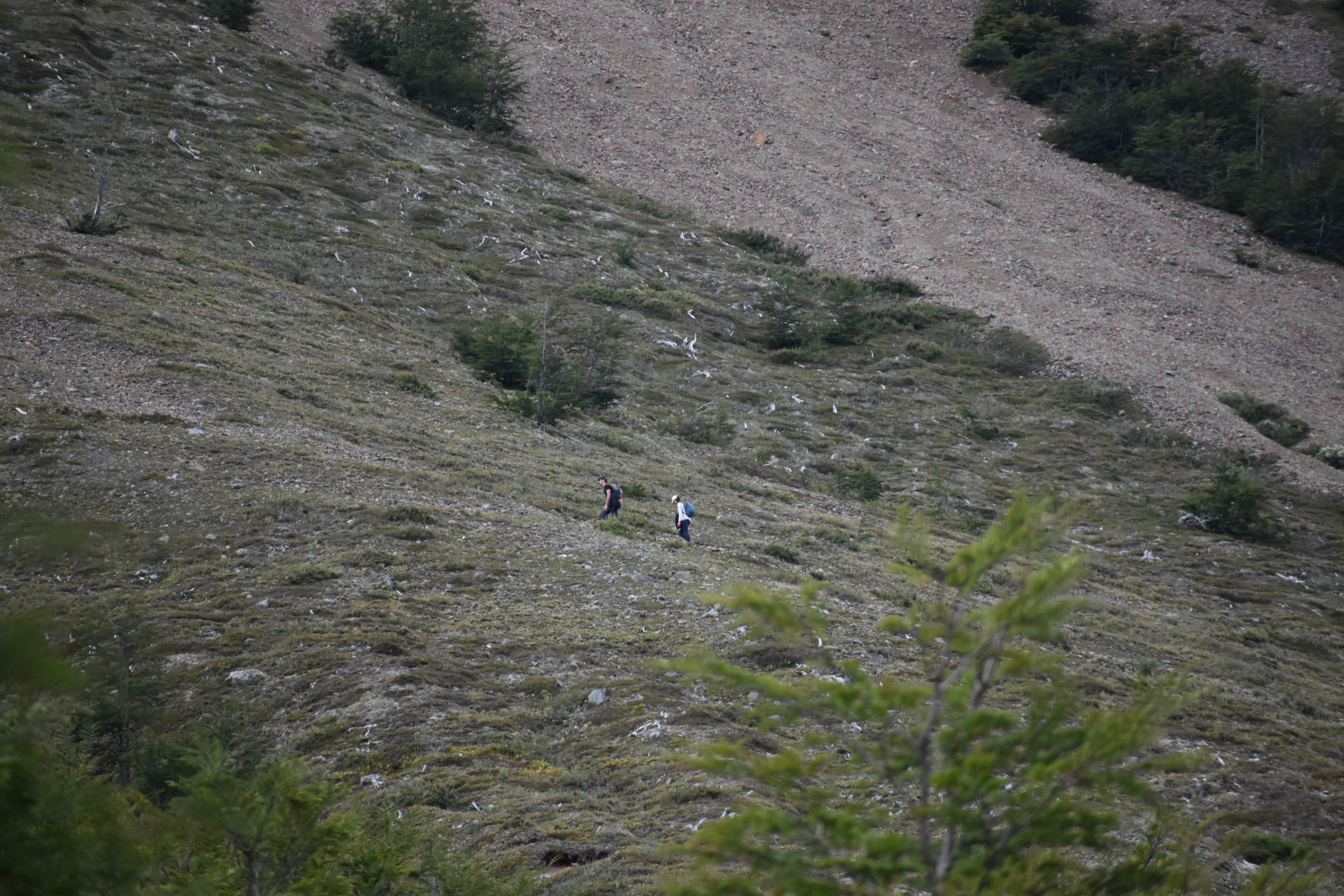 Personas subiendo por el sendero