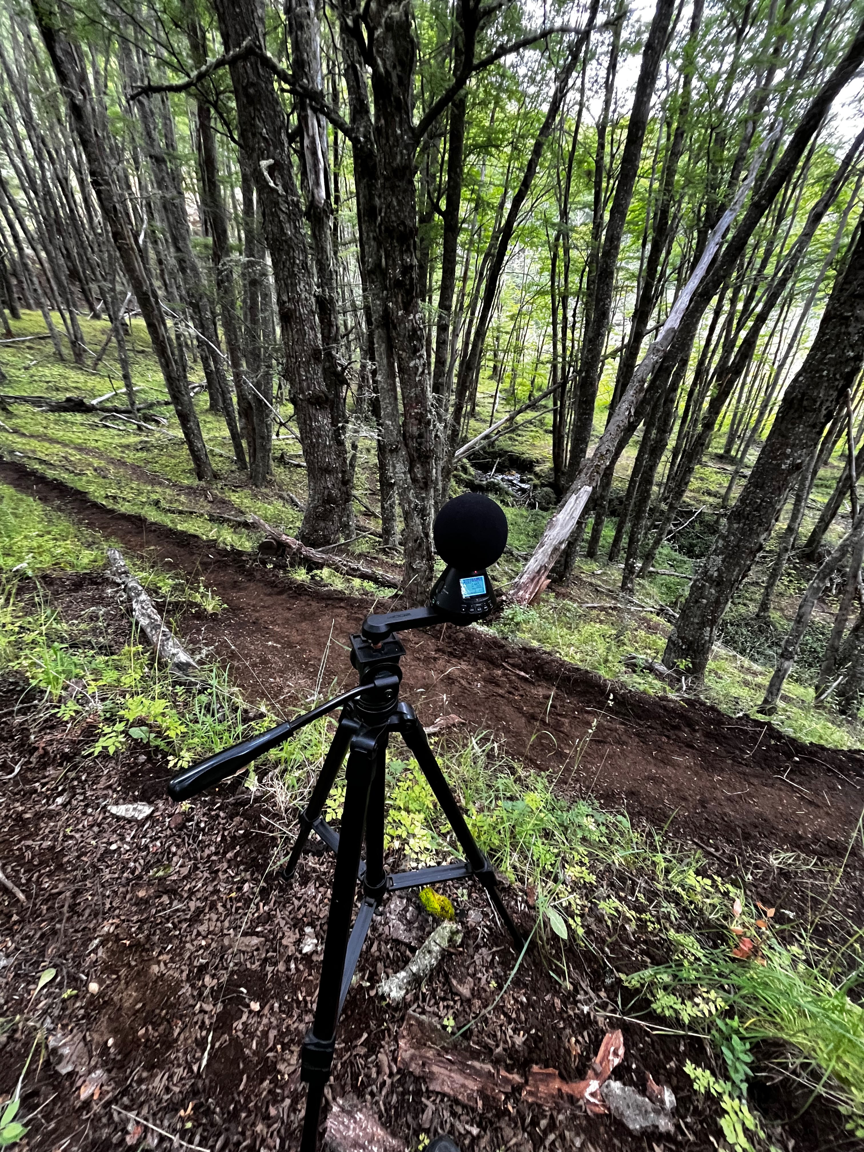 Grabación primeros 500 metro sendero