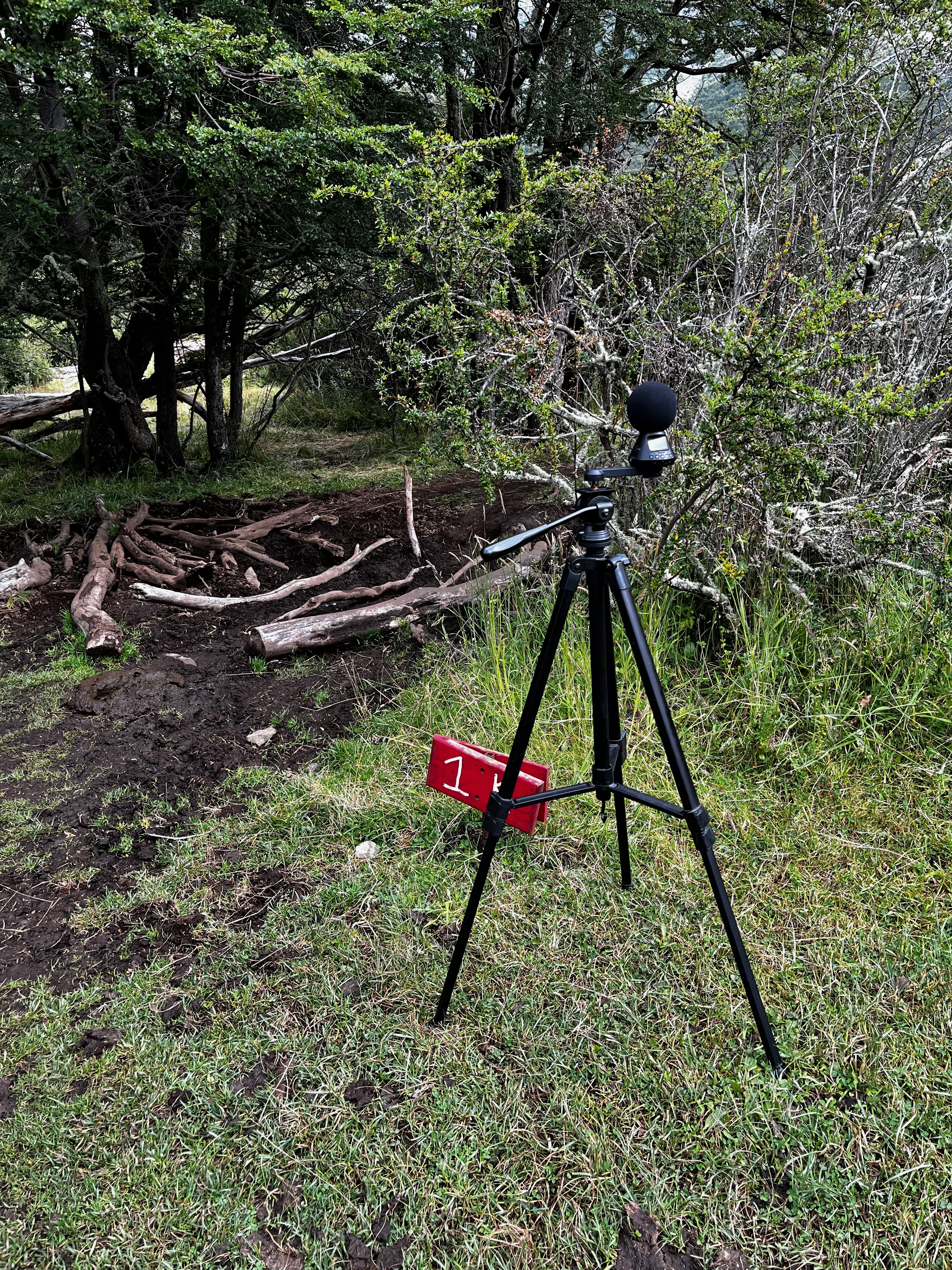 Grabación primer kilometro