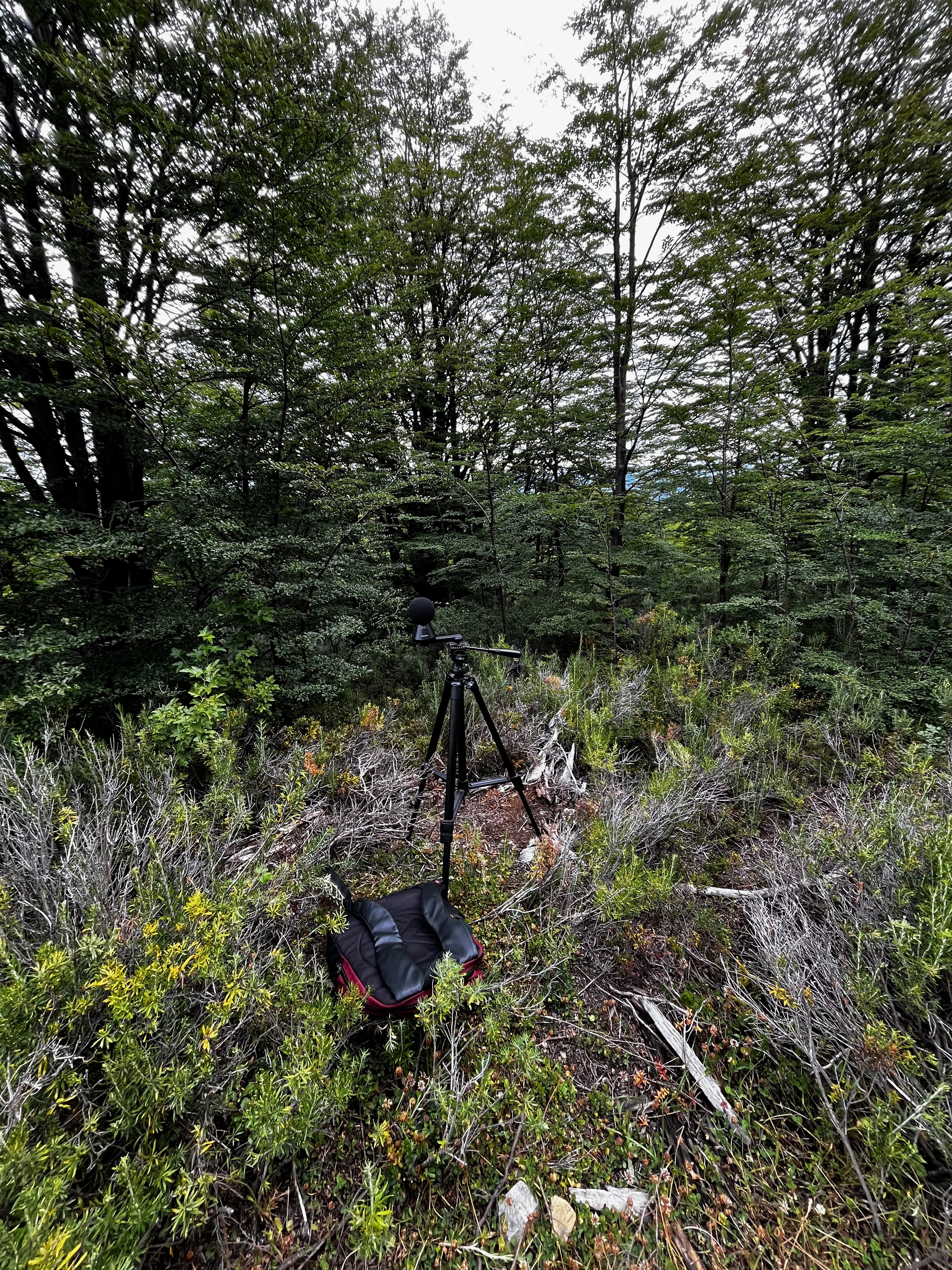 Grabación cuarto kilometro (2)