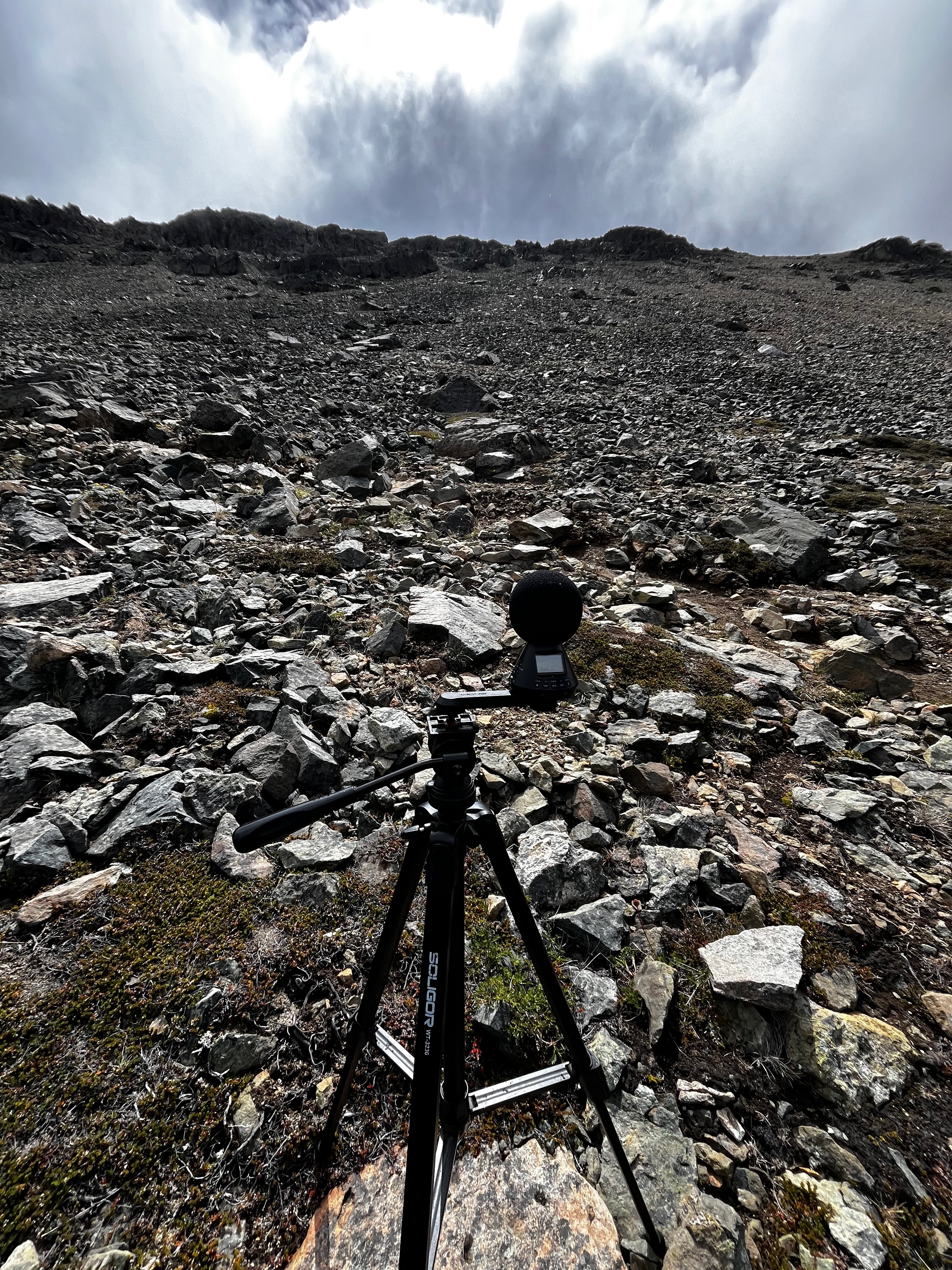 Grabación pendiente (2)